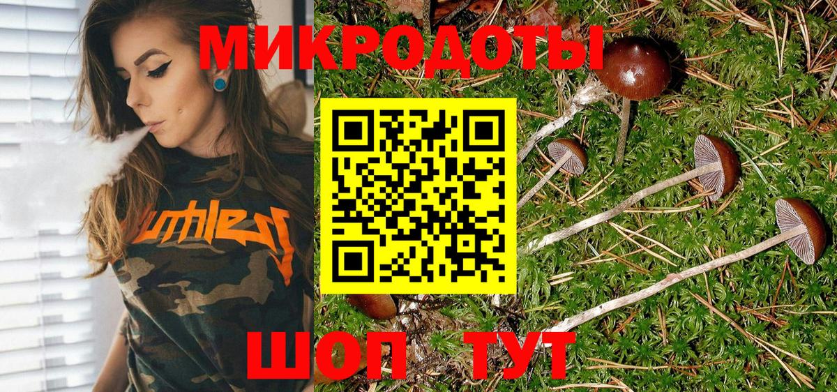 Псилоцибиновые грибы GOLDEN TEACHER Тутаев