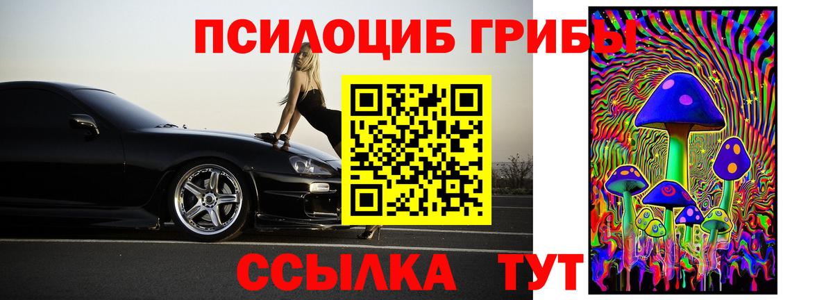Псилоцибиновые грибы Psilocybe Тутаев