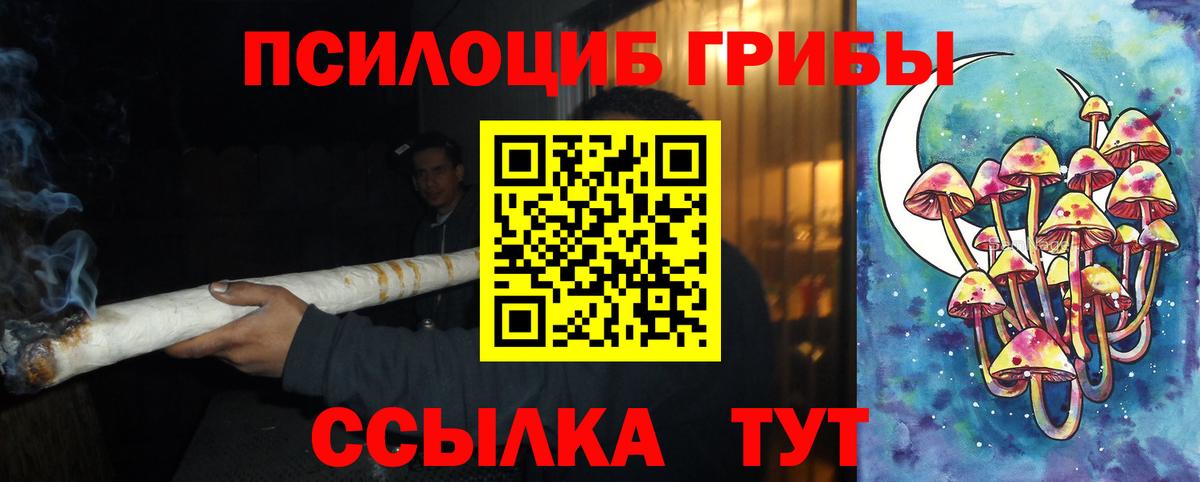 Галлюциногенные грибы Psilocybine cubensis  Тутаев  где продают наркотики  Галлюциногенные грибы мицелий 