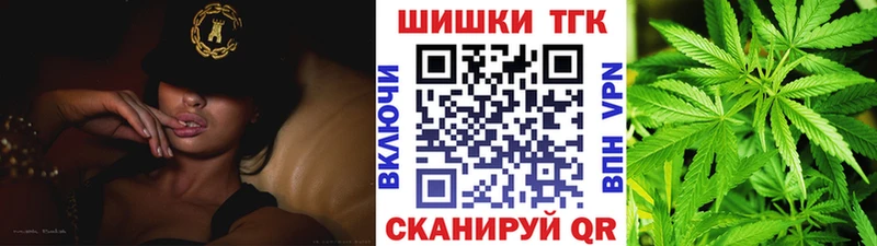 где найти   Тутаев  Бошки Шишки SATIVA & INDICA 